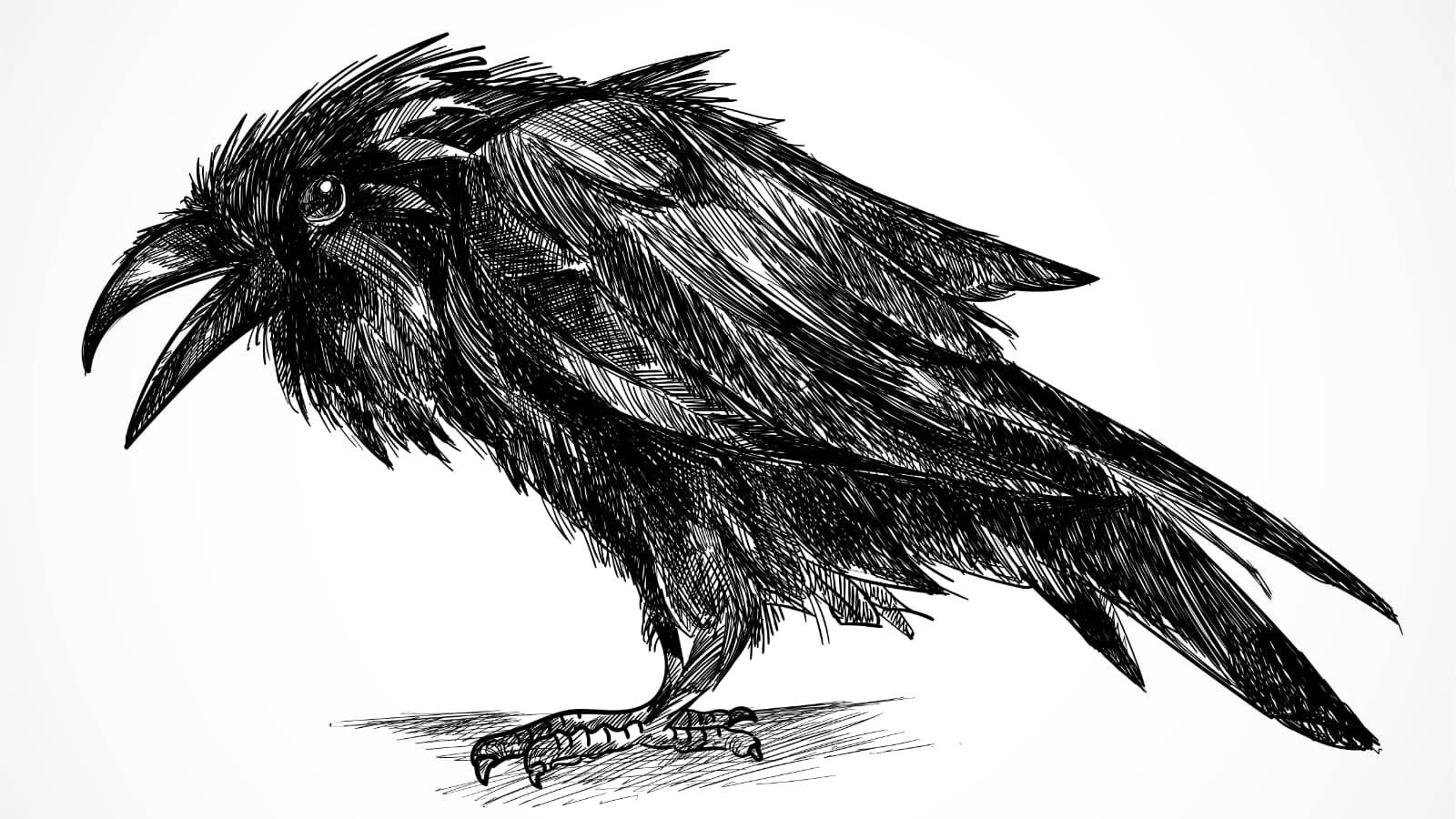 Wir spielen Krabat für euch!